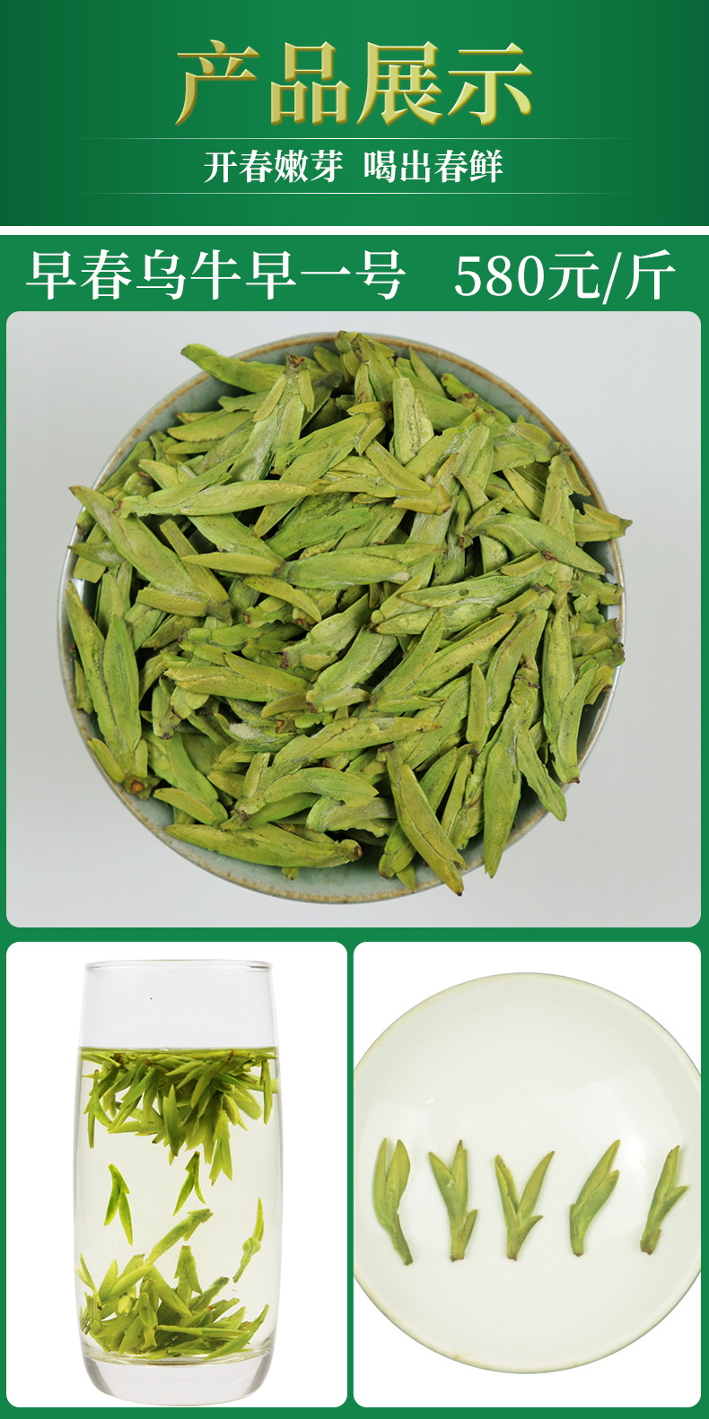 2023新茶龙井茶批发 明前乌牛早特级品质，散装礼盒装双重选择，春茶抢市策略分析