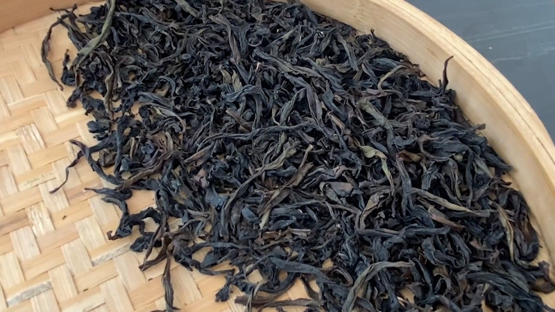 肉桂茶产地哪里的好